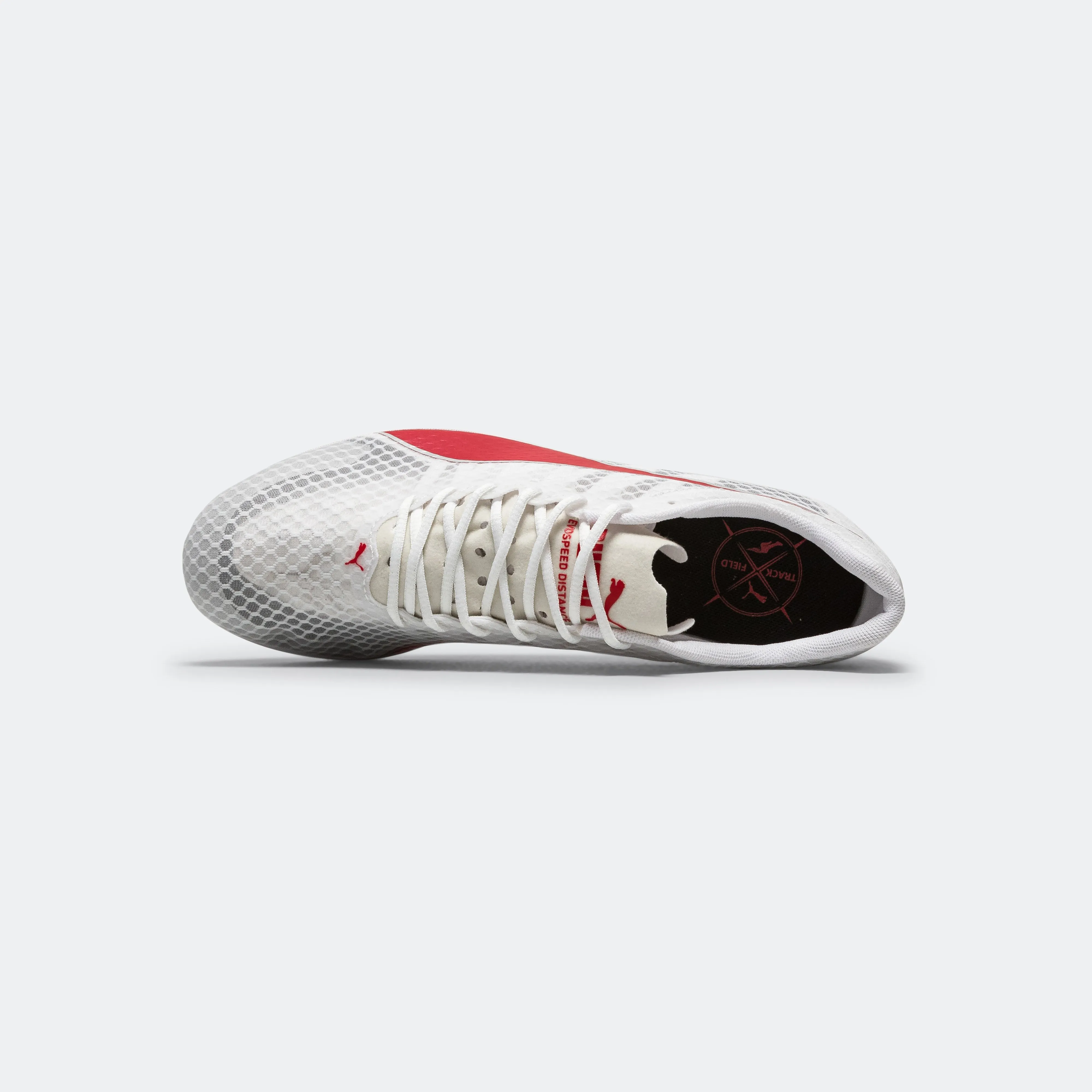 evoSPEED Distance 11 - White