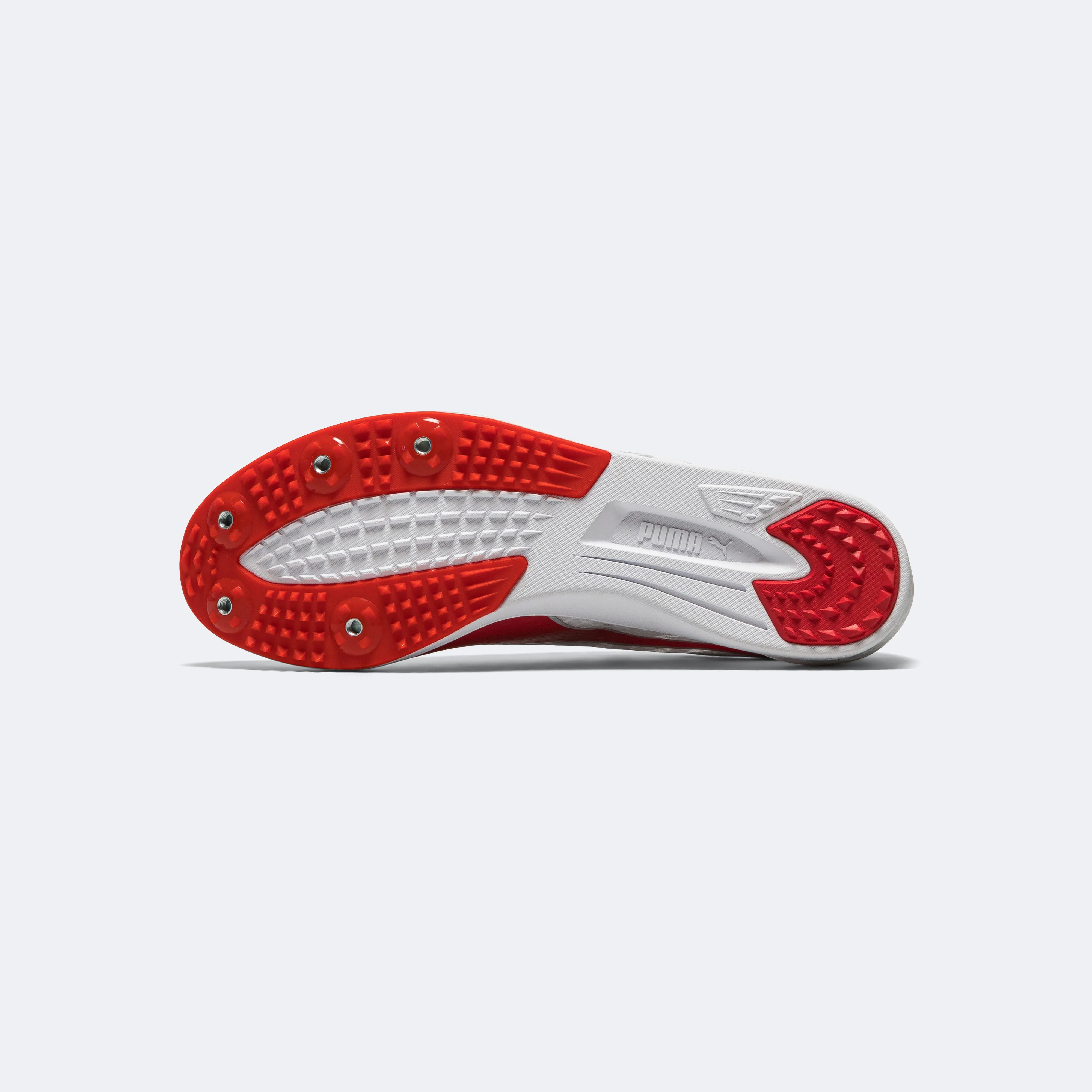 evoSPEED Distance 11 - White