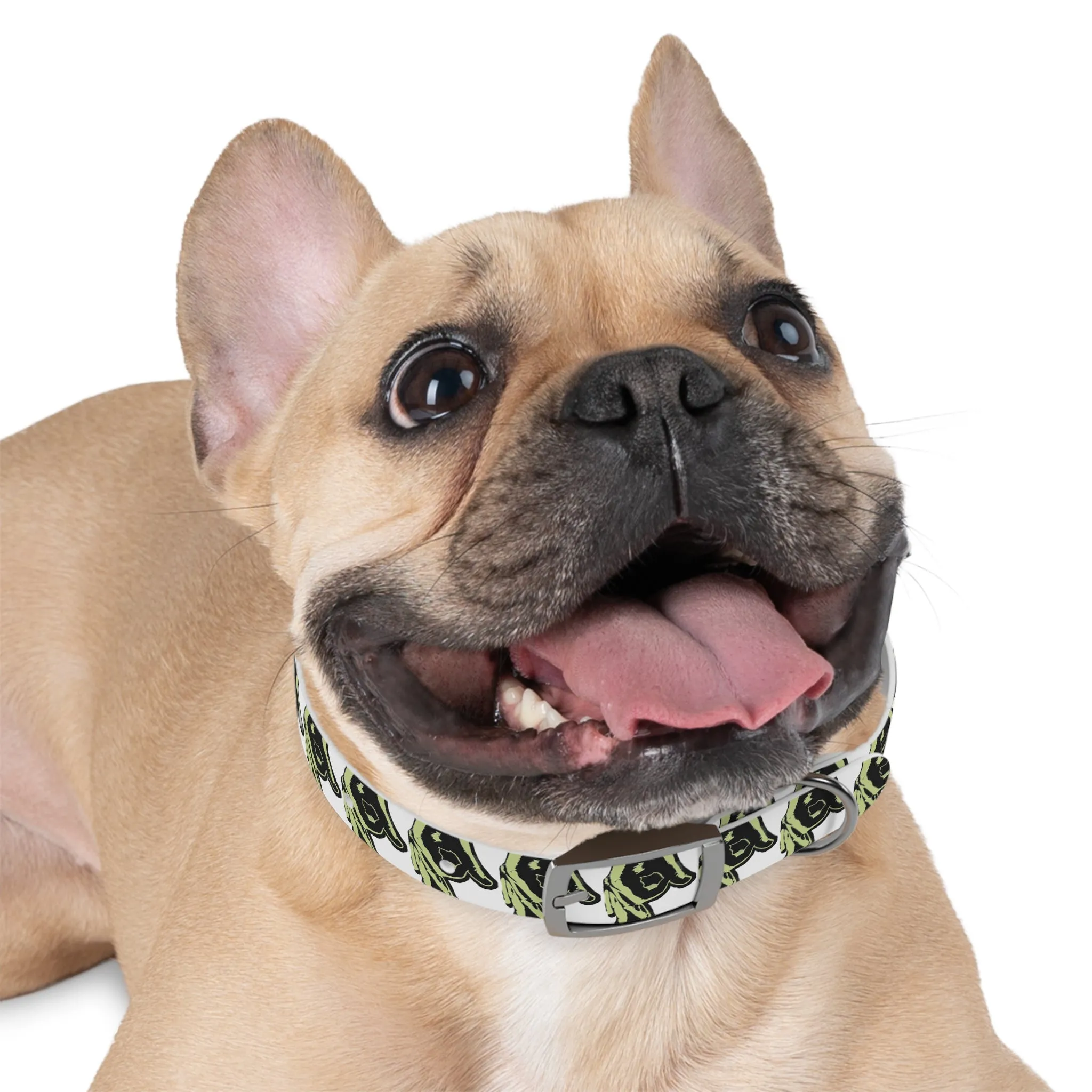 OPM Dog Collar