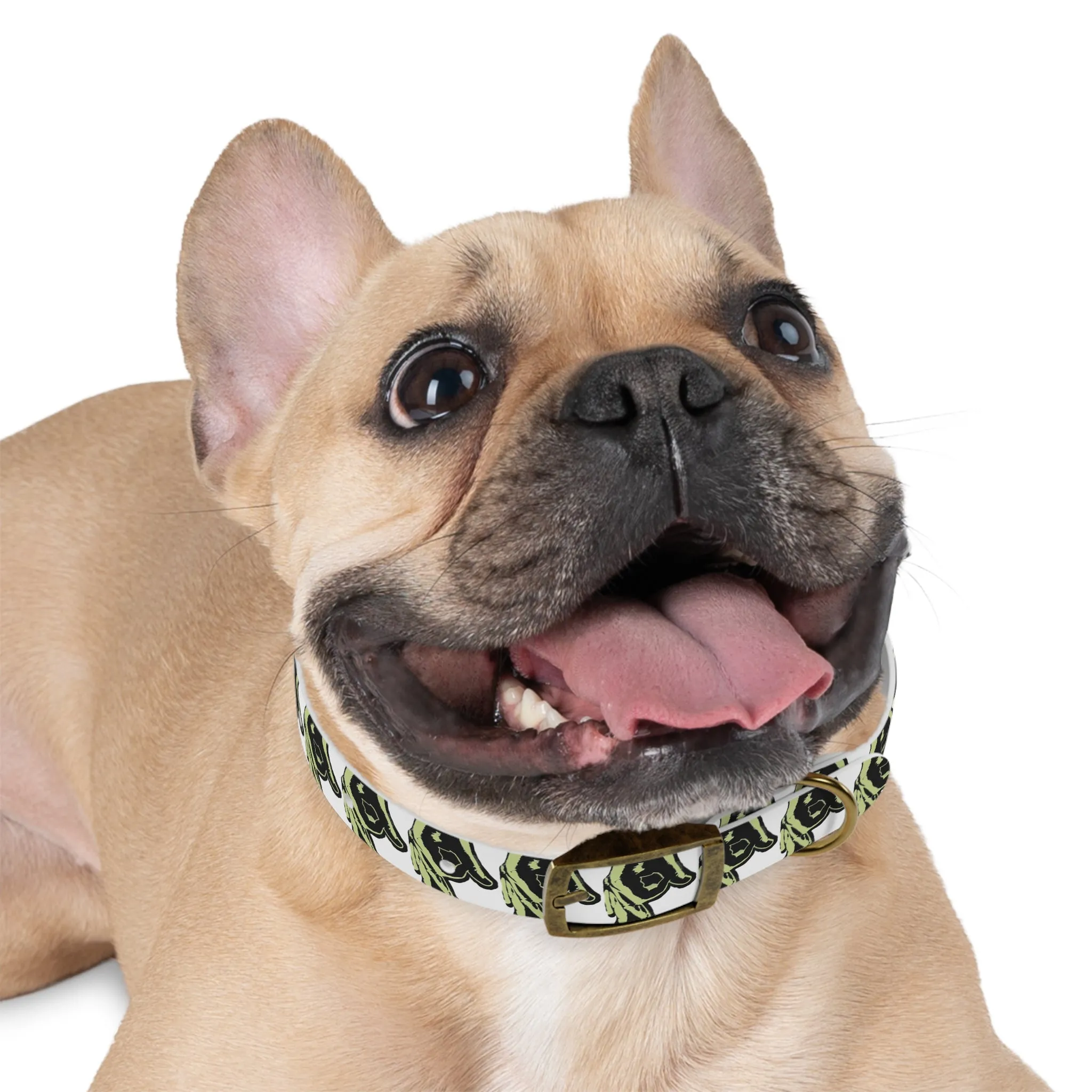 OPM Dog Collar