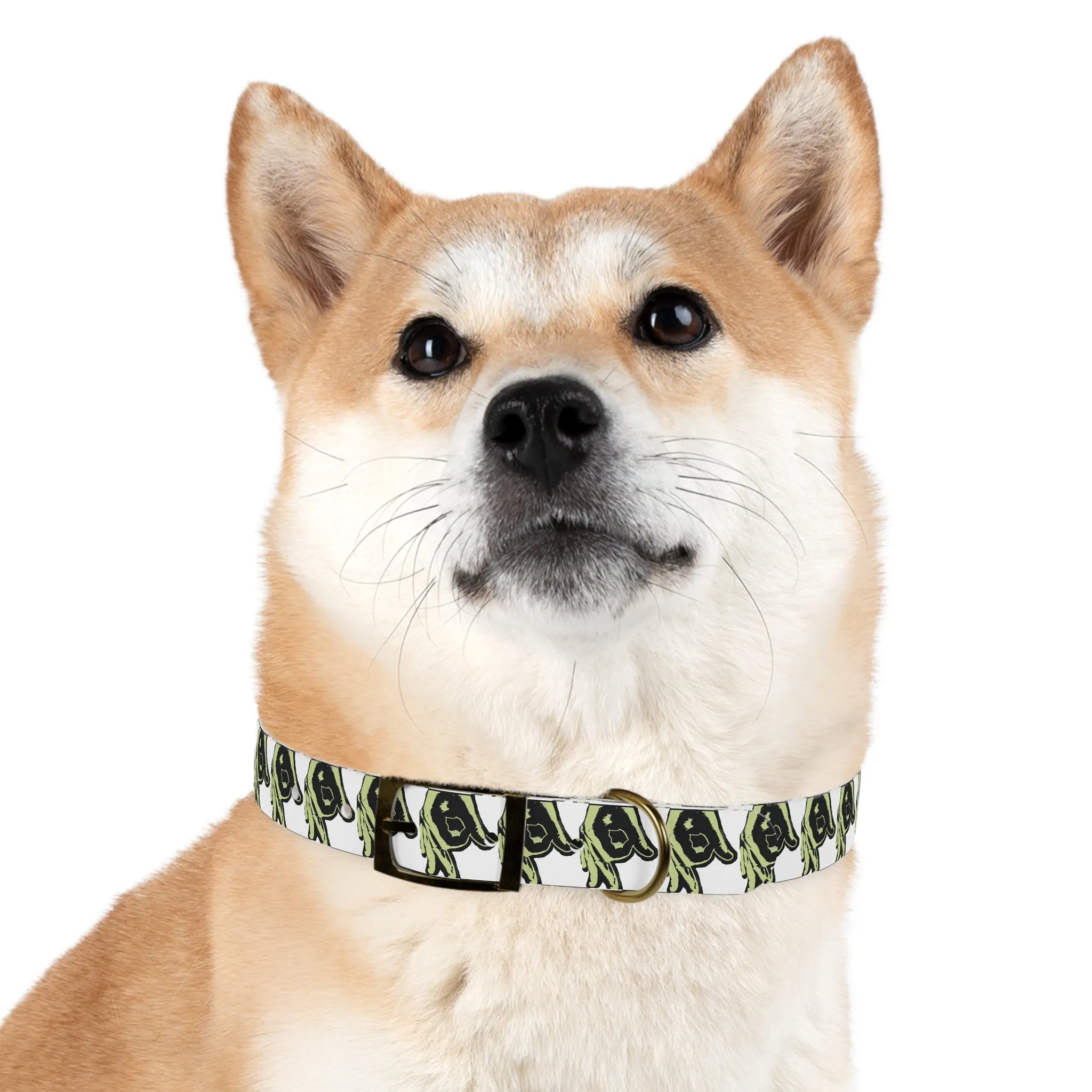 OPM Dog Collar