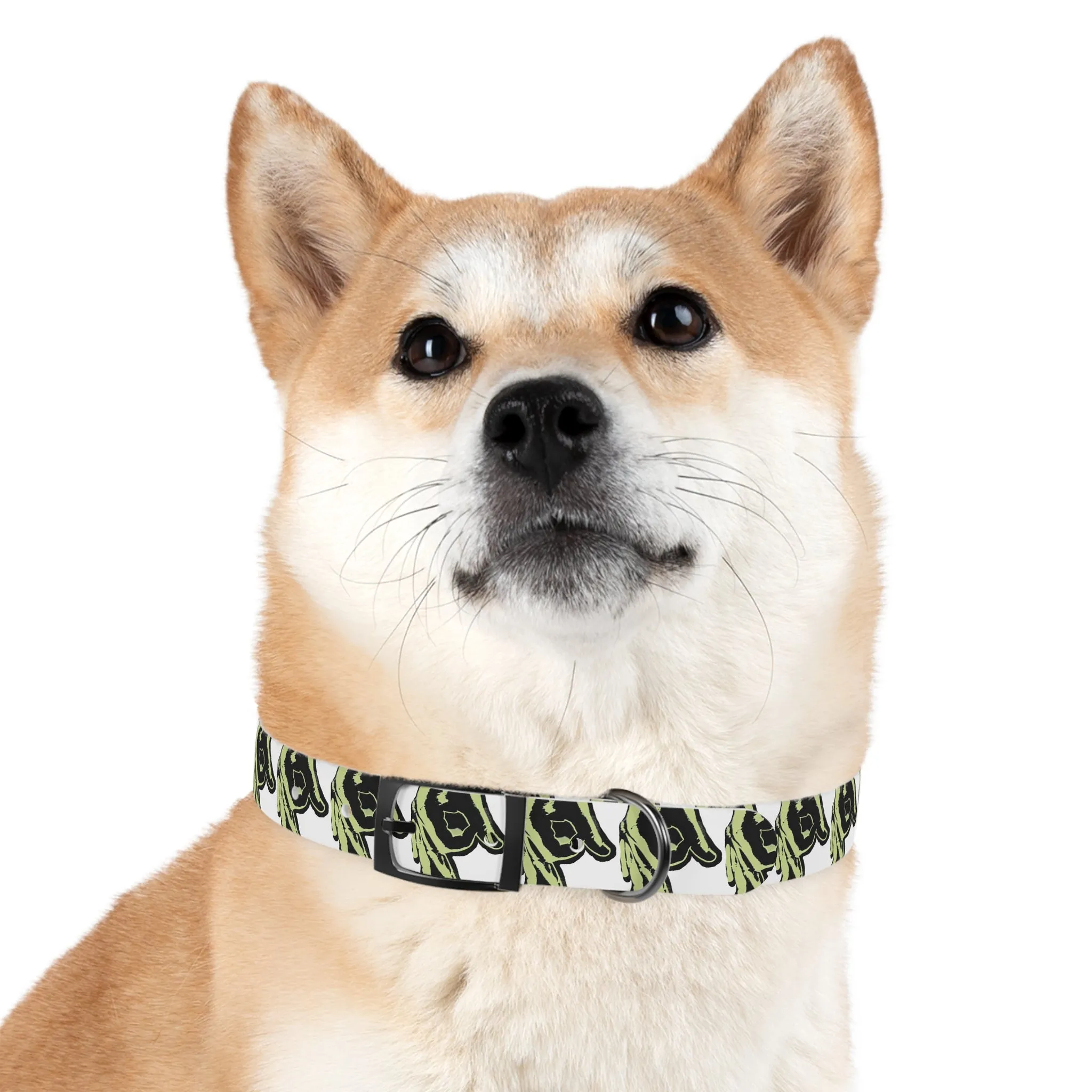 OPM Dog Collar