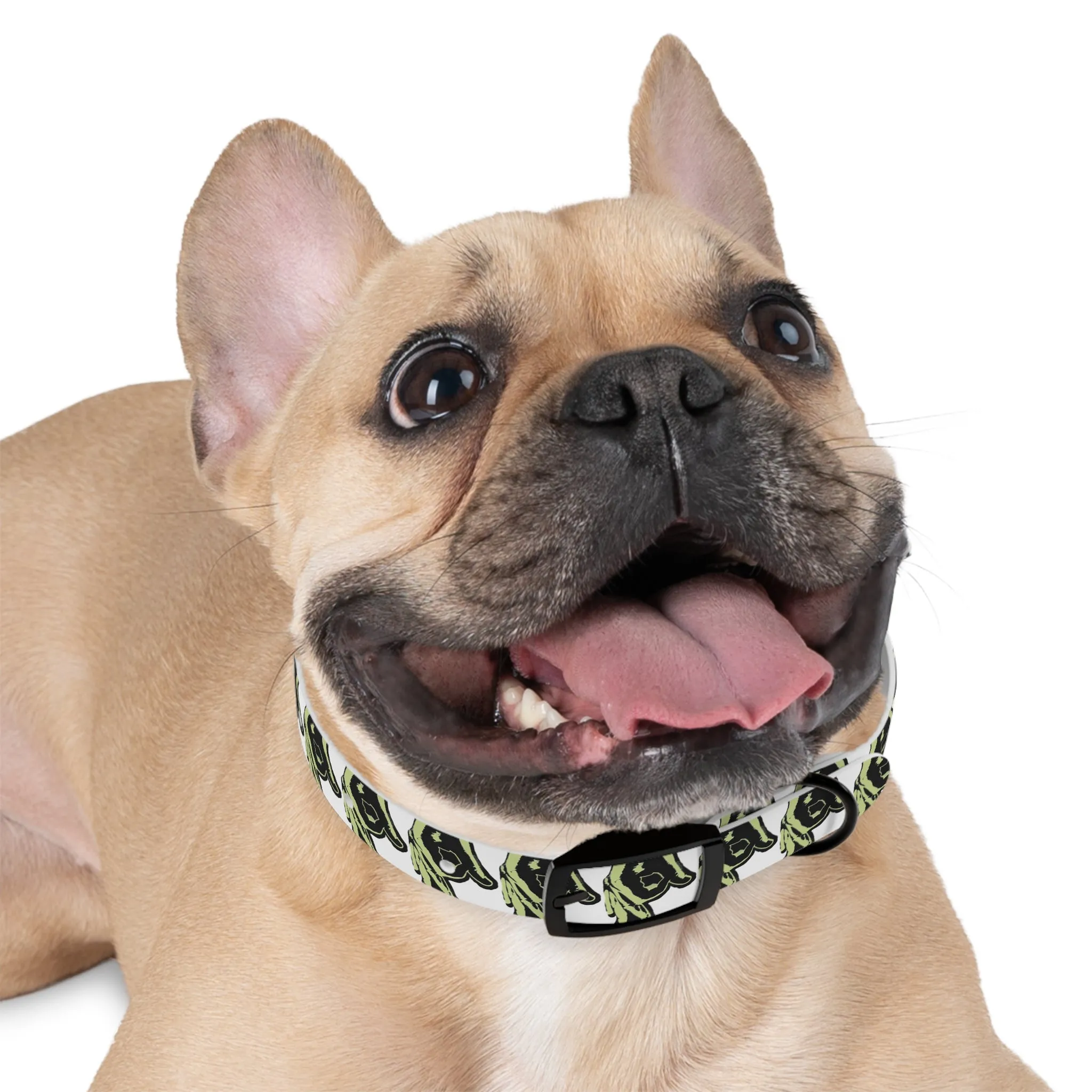 OPM Dog Collar